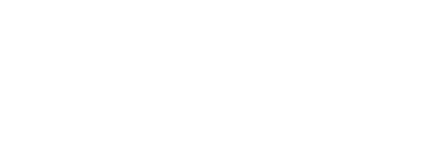 2024 digital outlook report title